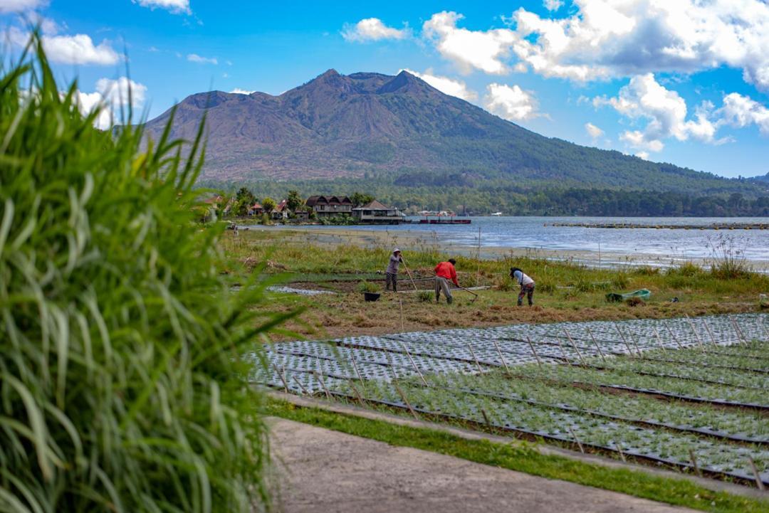 Pondok Manoka Kintamani  Екстер'єр фото