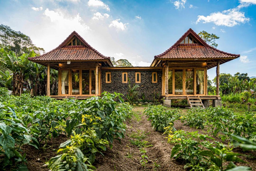 Pondok Manoka Kintamani  Екстер'єр фото